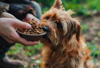 The Dog Podcast Uncovers Startling Truths About What We Feed Our Dogs [Press Release]