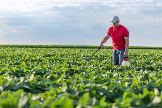 What Makes a Safe Weed Killer?